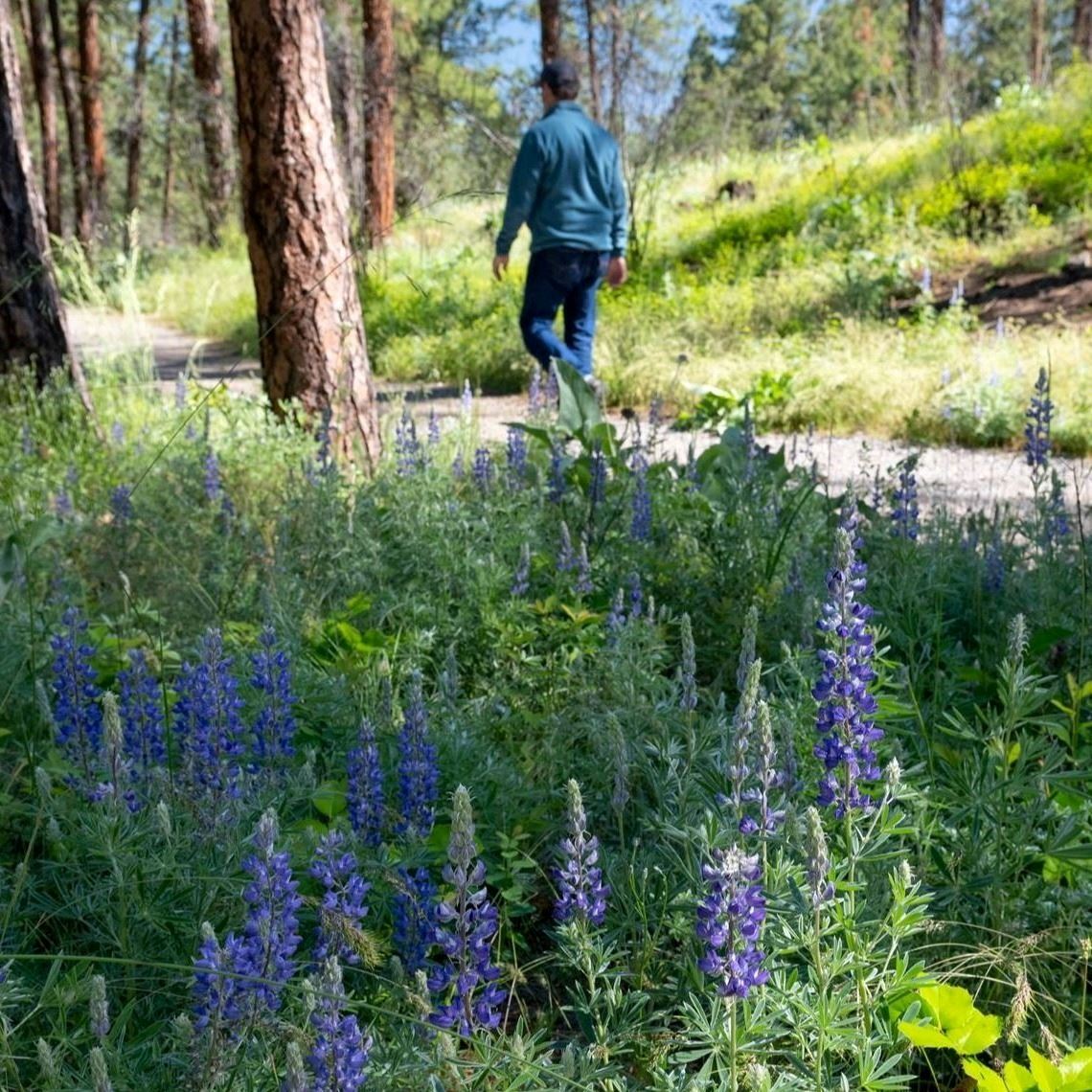 June 2022 Mirabeau Hi Res-17