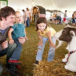 A family interacts with a goat at the fair.