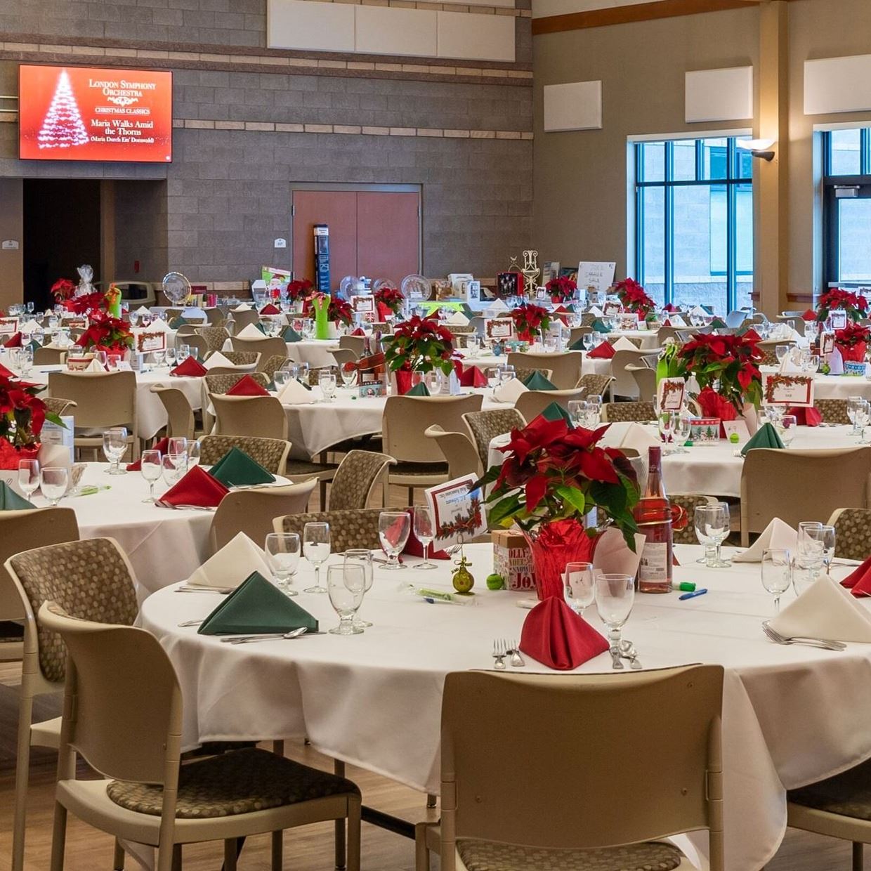 Great Room and Monitors