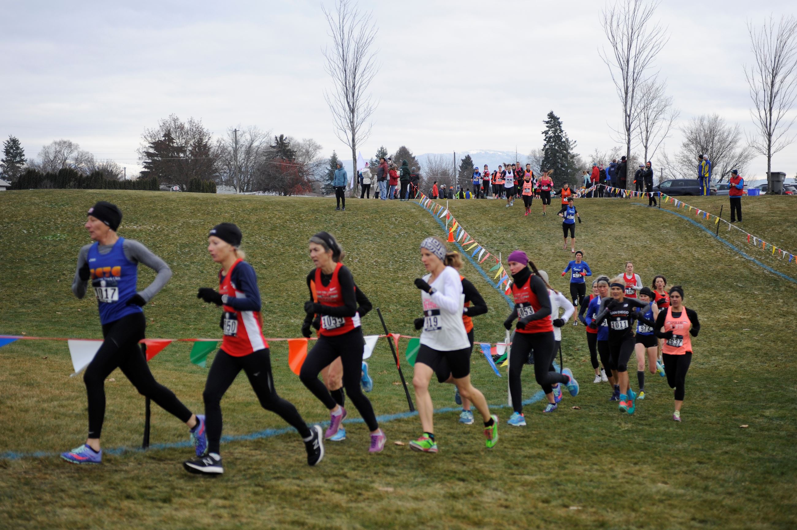 Cross country runners complete a race at an outdoor venue.