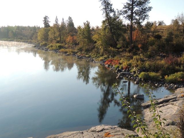 Spokane River by C Trail