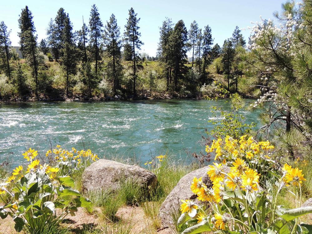 Spokane River at Sullivan 2