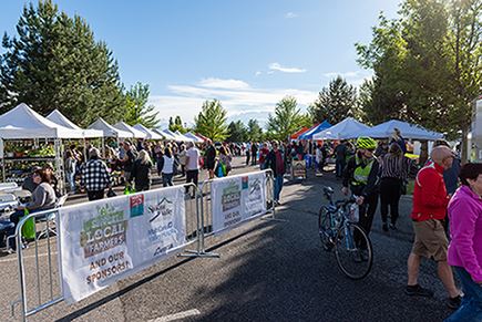 Summer Farmers Market